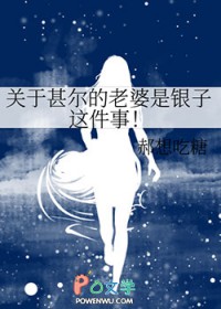[综漫] 关于甚尔的老婆是银子这件事
